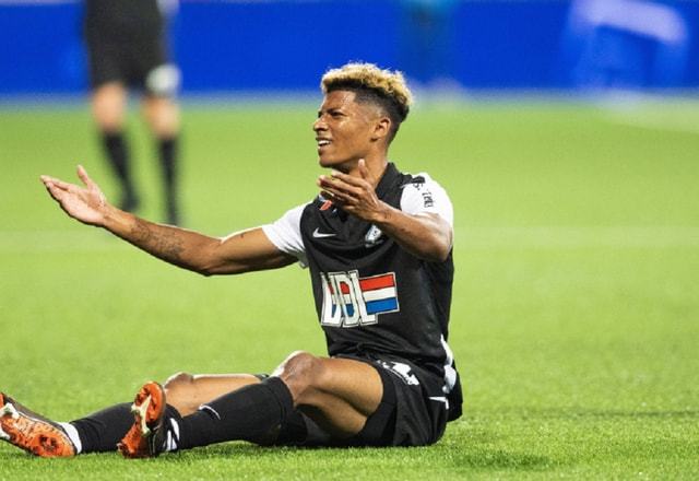 为他制定了 为他制定了