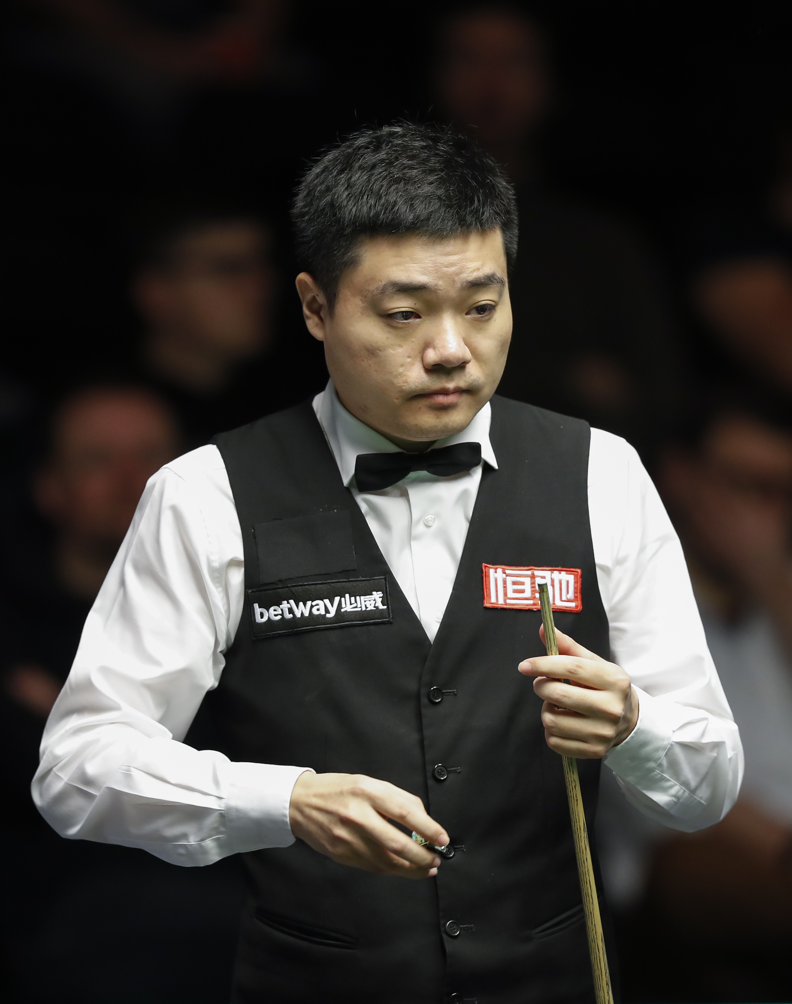 他的加入将 他的加入将