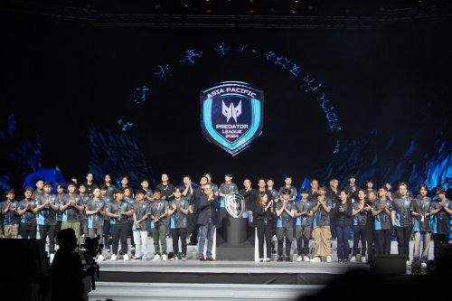 队的明星 队的明星