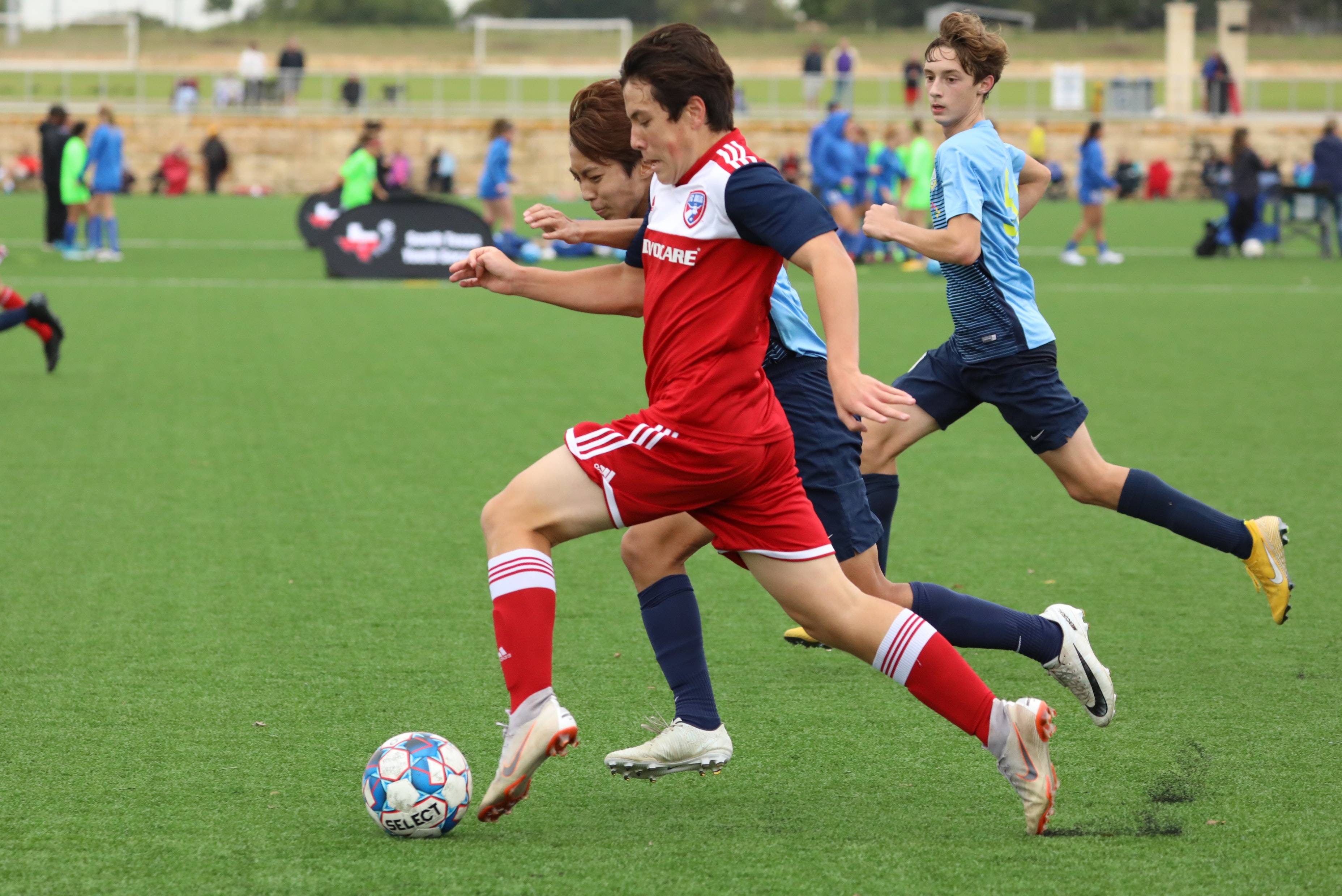 轻小将表现 轻小将表现