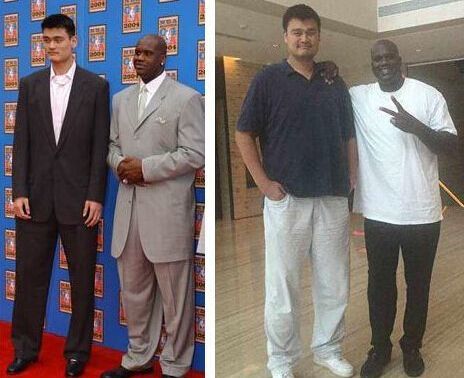 当季会员续 当季会员续